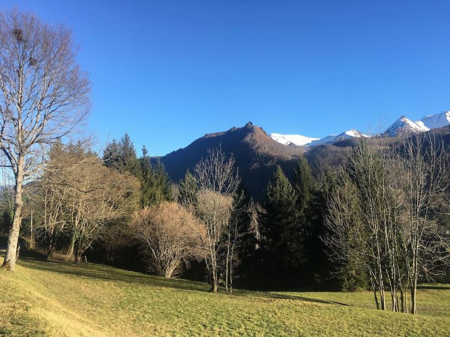 Top Floor Apartment With Mountain Views In The Centre Of Argeles Gazost Bagian luar foto